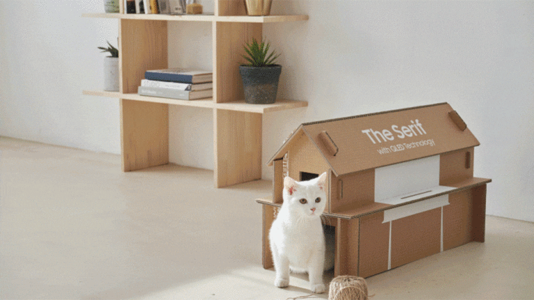 Розробили коробку для телевізорів, з якої можна змайструвати хатинку для кота