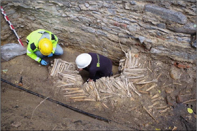 Під церквою у Бельгії знайшли стіну з людських кісток