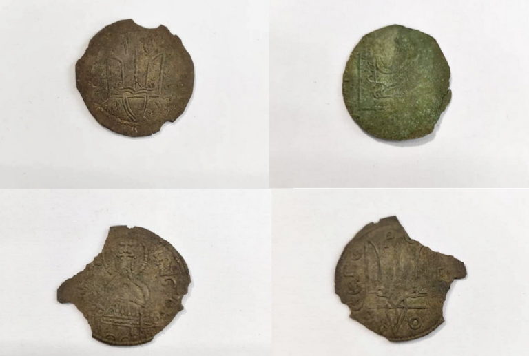 Скарб сторіччя знайшли на Житомирщині: перші монети Київської Русі (ФОТО)