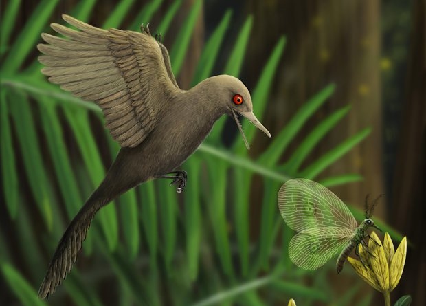 Знайдено рештки мініатюрного динозавра розміром з колібрі
