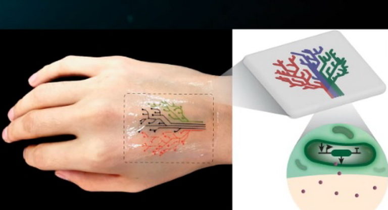 «Живе татуювання» набили бактеріями за допомогою 3D-друку (ВІДЕО)