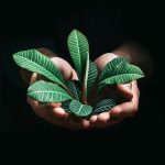 Застосування AI 456