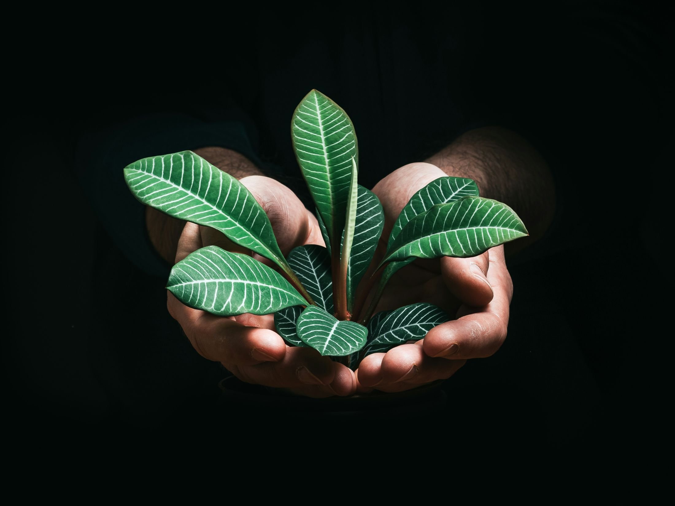 Застосування AI 456