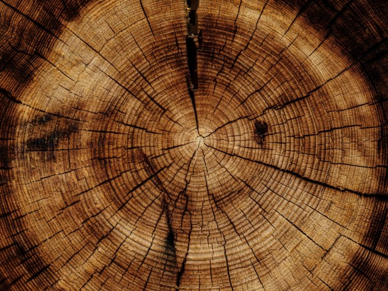 Захист AI систем 457